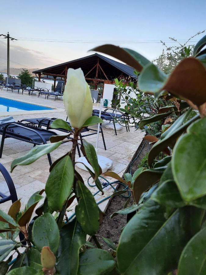 Clisura Dunarii - Pensiunea Casa Creta Liborajdea Exterior foto